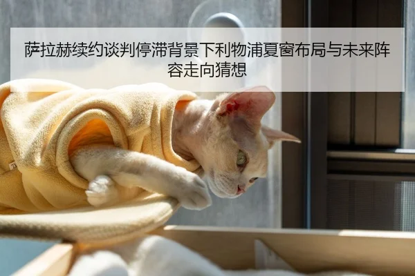 萨拉赫续约谈判停滞背景下利物浦夏窗布局与未来阵容走向猜想
