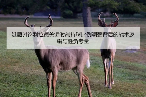 雄鹿讨论利拉德关键时刻持球比例调整背后的战术逻辑与胜负考量